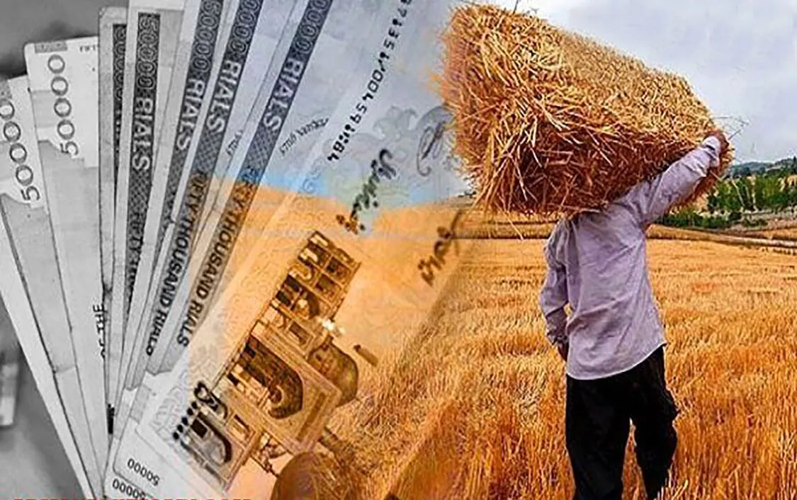 ۷۵ درصد مطالبات گندم‌کاران لرستان پرداخت شد