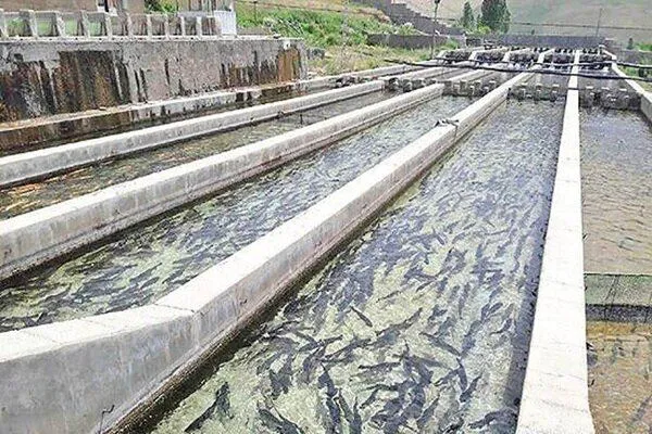 آمادگی شیلات لرستان برای مقابله با مخاطرات «ال‌نینو»